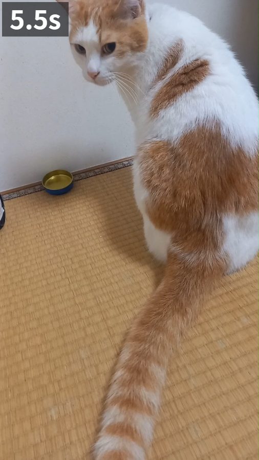 5.5秒の場面